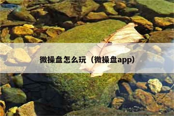 微操盘怎么玩（微操盘app） 