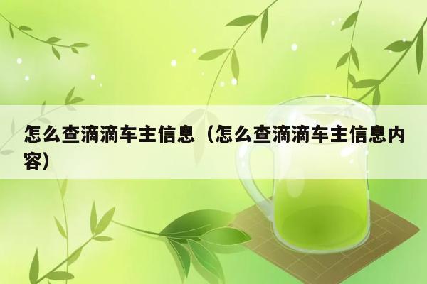 怎么查滴滴车主信息（怎么查滴滴车主信息内容） 