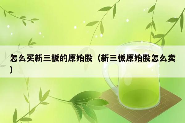 怎么买新三板的原始股（新三板原始股怎么卖） 