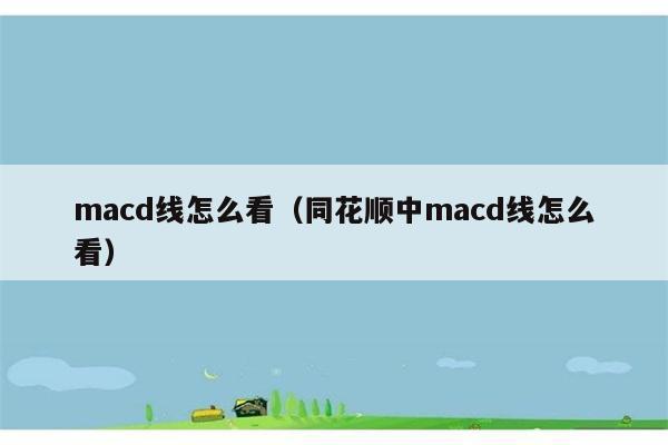 macd线怎么看（同花顺中macd线怎么看） 