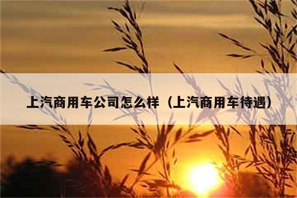 上汽商用车公司怎么样（上汽商用车待遇） 