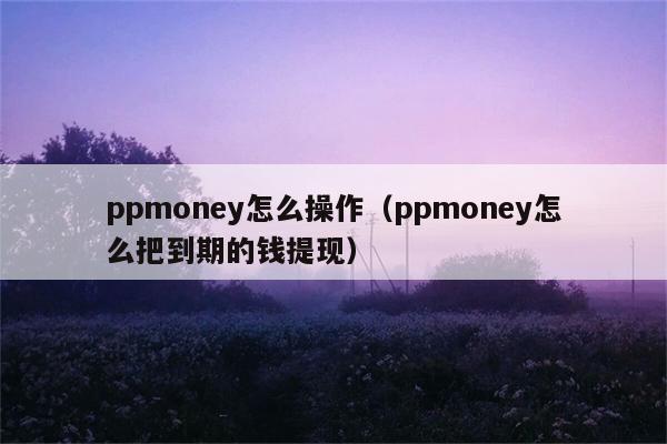 ppmoney怎么操作（ppmoney怎么把到期的钱提现） 