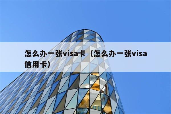 怎么办一张visa卡（怎么办一张visa信用卡） 