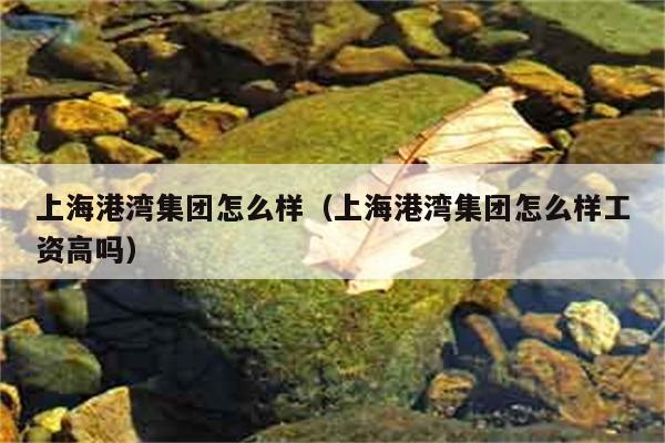 上海港湾集团怎么样（上海港湾集团怎么样工资高吗） 