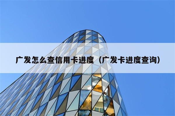 广发怎么查信用卡进度（广发卡进度查询） 