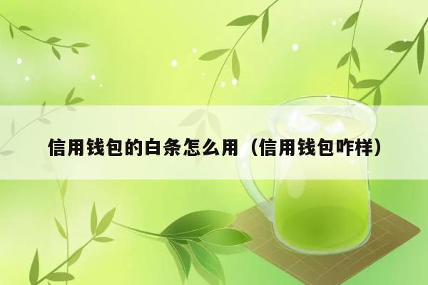 信用钱包的白条怎么用（信用钱包咋样） 