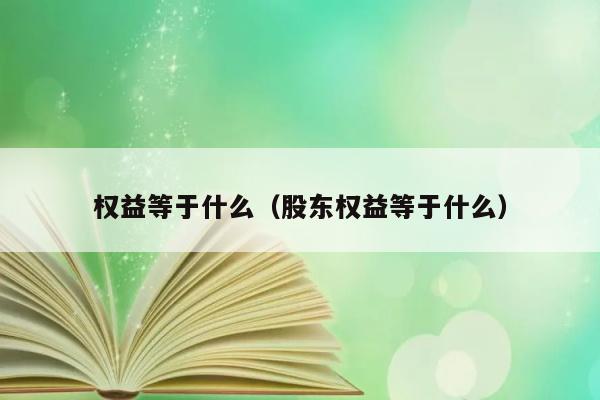 权益等于什么（股东权益等于什么） 