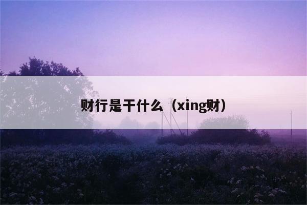 财行是干什么（xing财） 