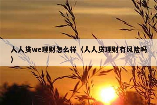 人人贷we理财怎么样（人人贷理财有风险吗） 