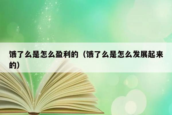 饿了么是怎么盈利的（饿了么是怎么发展起来的） 