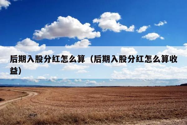 后期入股分红怎么算（后期入股分红怎么算收益） 