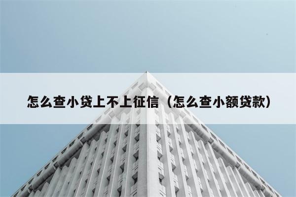 怎么查小贷上不上征信（怎么查小额贷款） 