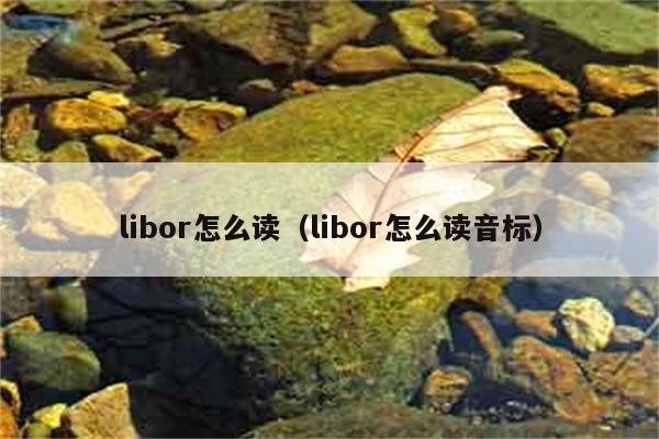 libor怎么读（libor怎么读音标） 