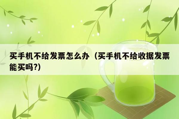 买手机不给发票怎么办（买手机不给收据发票能买吗?） 