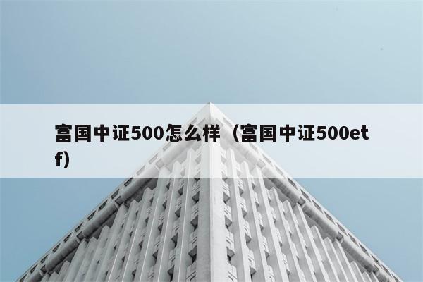 富国中证500怎么样（富国中证500etf） 