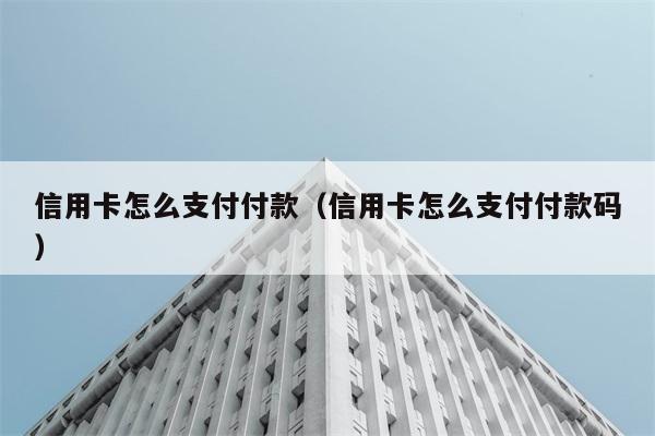 信用卡怎么支付付款（信用卡怎么支付付款码） 