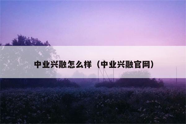 中业兴融怎么样（中业兴融官网） 