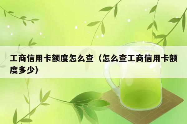 工商信用卡额度怎么查（怎么查工商信用卡额度多少） 