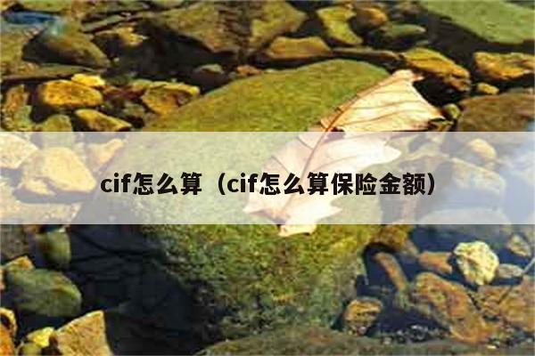 cif怎么算（cif怎么算保险金额） 