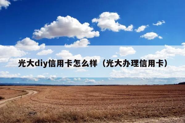 光大diy信用卡怎么样（光大办理信用卡） 