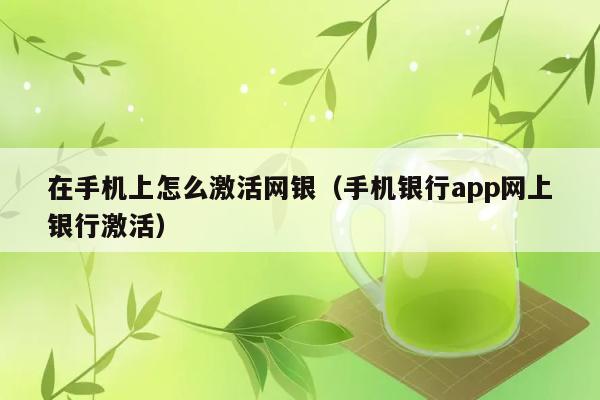 在手机上怎么激活网银（手机银行app网上银行激活） 