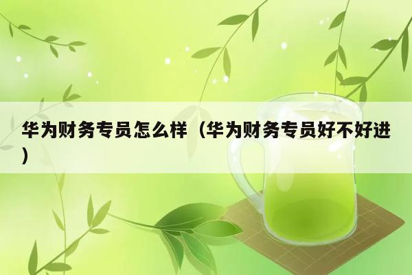 华为财务专员怎么样（华为财务专员好不好进） 