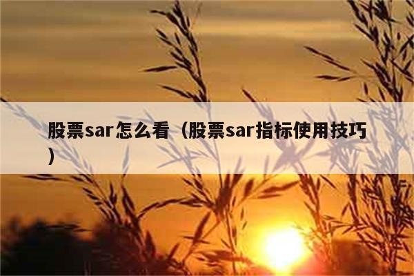 股票sar怎么看（股票sar指标使用技巧） 