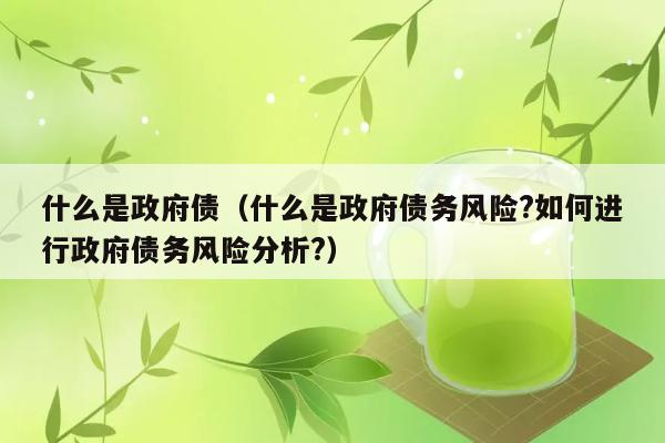 什么是政府债（什么是政府债务风险?如何进行政府债务风险分析?） 