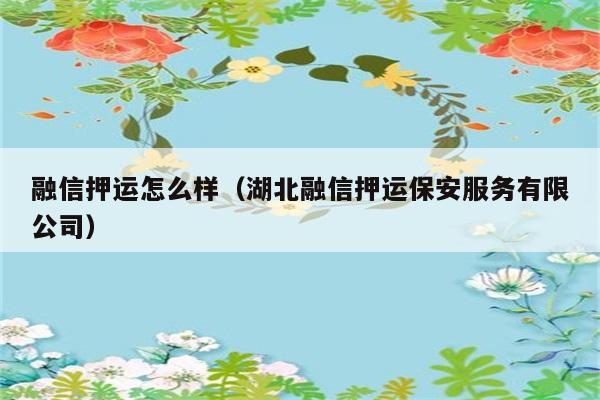 融信押运怎么样（湖北融信押运保安服务有限公司） 