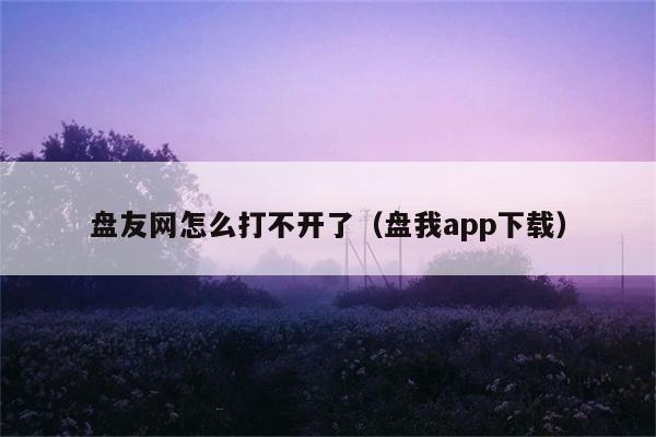 盘友网怎么打不开了（盘我app下载） 