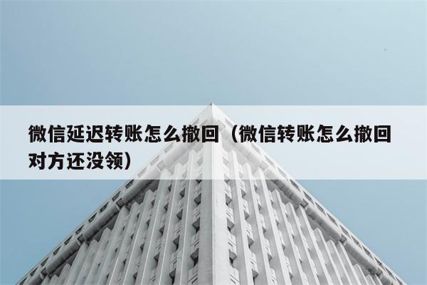 微信延迟转账怎么撤回（微信转账怎么撤回 对方还没领） 