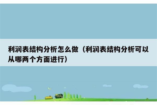 利润表结构分析怎么做（利润表结构分析可以从哪两个方面进行） 