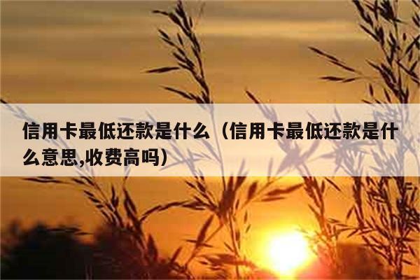 信用卡最低还款是什么（信用卡最低还款是什么意思,收费高吗） 