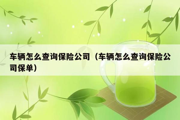 车辆怎么查询保险公司（车辆怎么查询保险公司保单） 