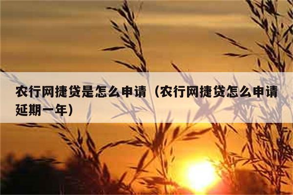 农行网捷贷是怎么申请（农行网捷贷怎么申请延期一年） 