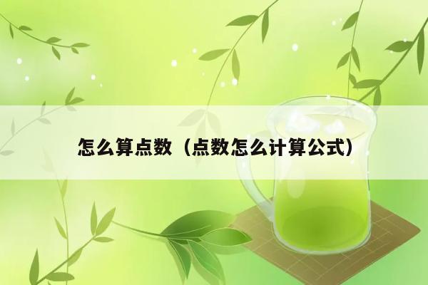 怎么算点数（点数怎么计算公式） 