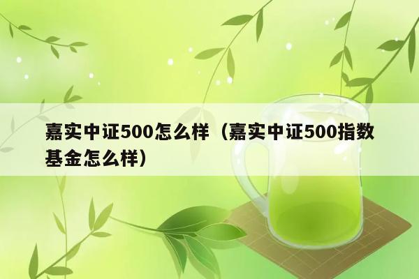 嘉实中证500怎么样（嘉实中证500指数基金怎么样） 