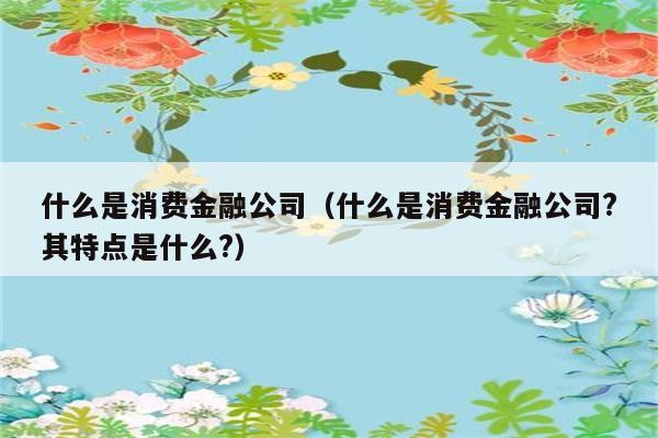 什么是消费金融公司（什么是消费金融公司?其特点是什么?） 