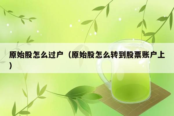 原始股怎么过户（原始股怎么转到股票账户上） 