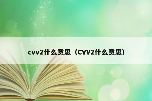 cvv2什么意思（CVV2什么意思） 