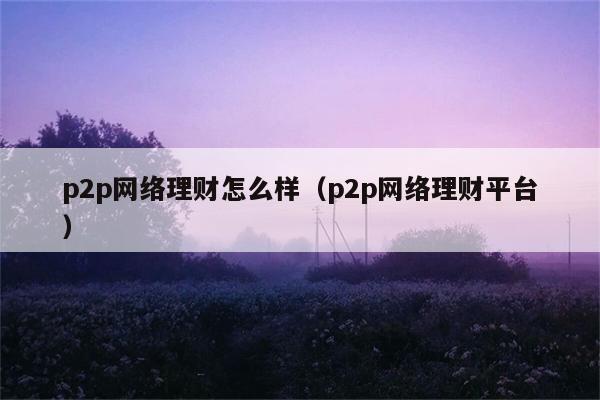 p2p网络理财怎么样（p2p网络理财平台） 