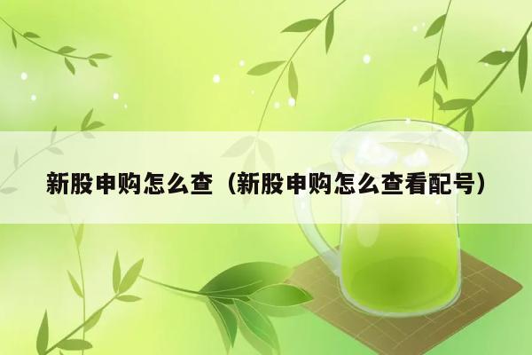 新股申购怎么查（新股申购怎么查看配号） 