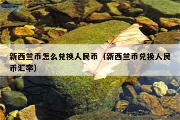 新西兰币怎么兑换人民币（新西兰币兑换人民币汇率） 