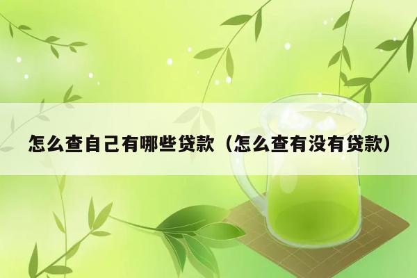 怎么查自己有哪些贷款（怎么查有没有贷款） 