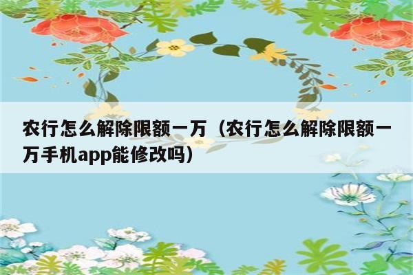 农行怎么解除限额一万（农行怎么解除限额一万手机app能修改吗） 