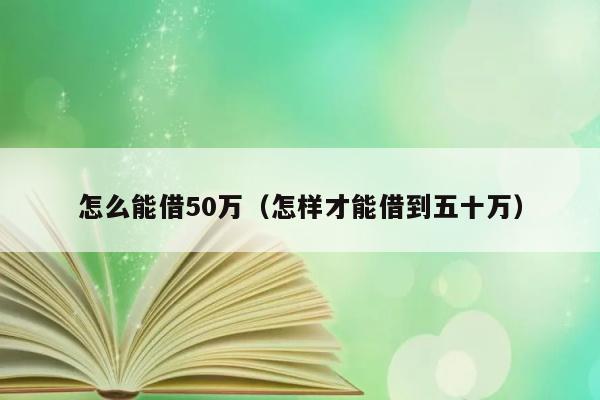 怎么能借50万（怎样才能借到五十万） 