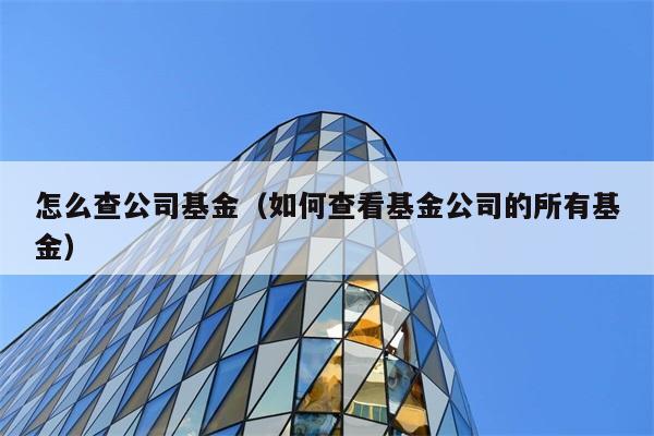 怎么查公司基金（如何查看基金公司的所有基金） 