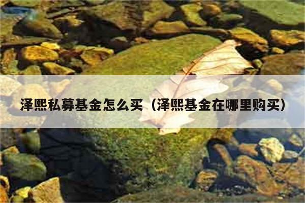 泽熙私募基金怎么买（泽熙基金在哪里购买） 