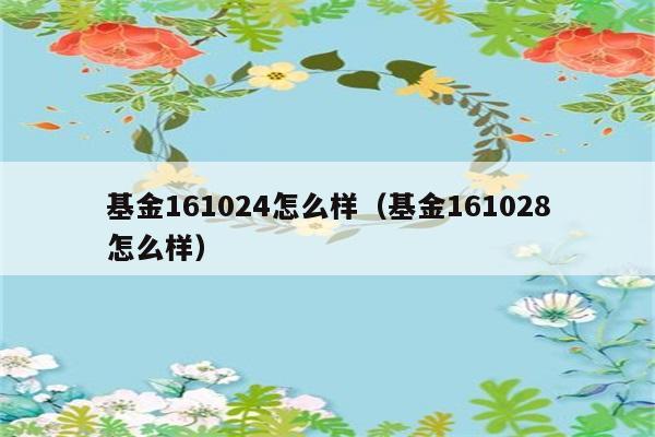 基金161024怎么样（基金161028怎么样） 