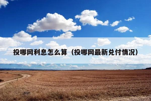 投哪网利息怎么算（投哪网最新兑付情况） 